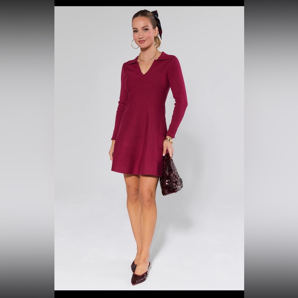 NWT Avara Amelia Burgundy Knit Mini Dress Small